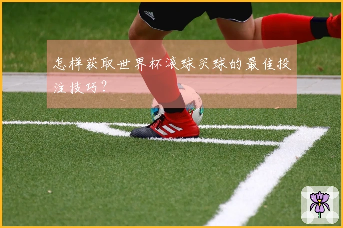 怎样获取世界杯滚球买球的最佳投注技巧？